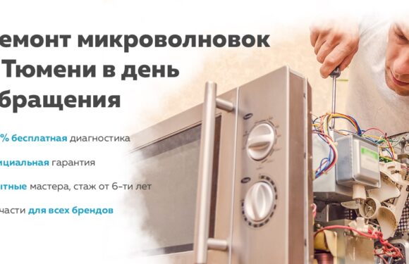 Советы по ремонту микроволновки